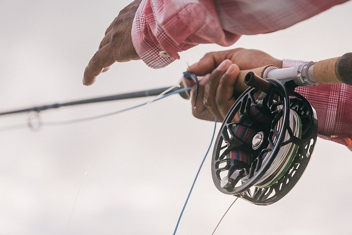 Abel Reels