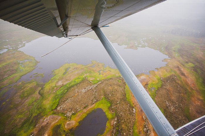 Montana Fly Co