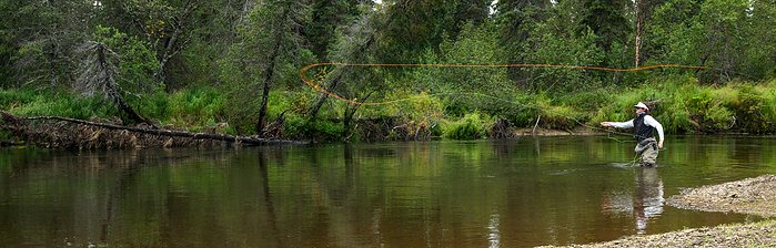 Orvis