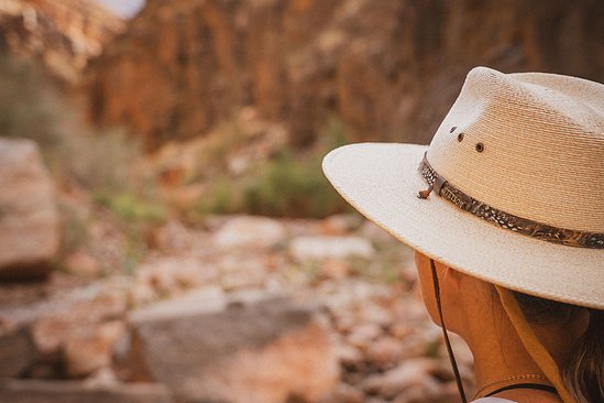 Stetson