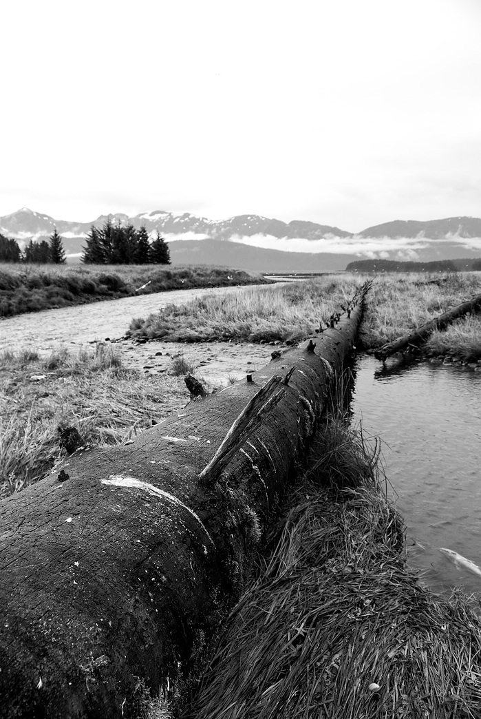 North Country