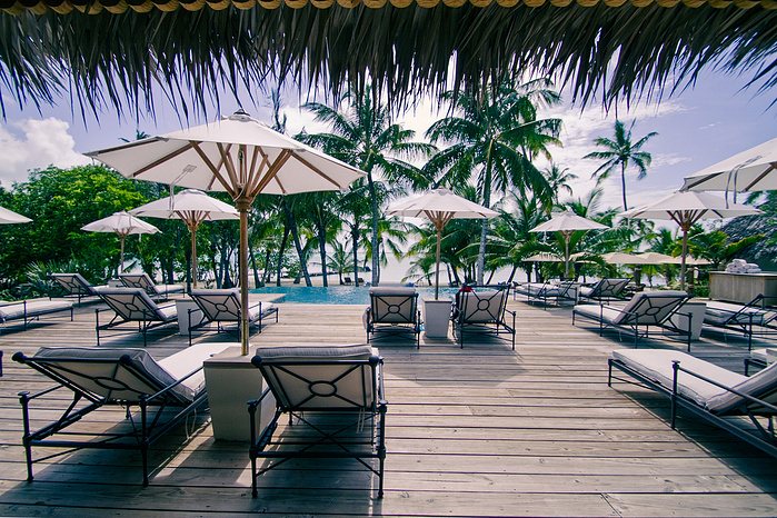 Tropical Vibes